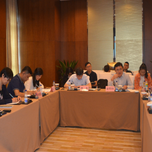 An Expert Seminar on Compiling Core Information for Hepatitis Held in Beijing