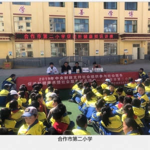 甘南藏族自治州“促进肝健康”校园社工坊举办