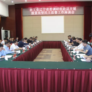 Director Li attends CPWDP Democratic Supervision Activities in Kunming, Yunnan