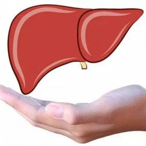 三道能让肝病患者以“肝”补肝的药膳