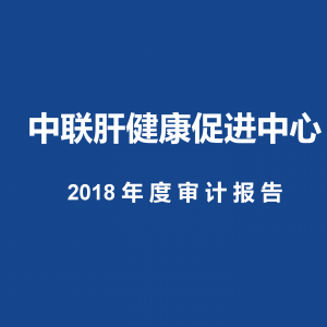 2018年度审计报告