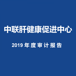 2019年度审计报告