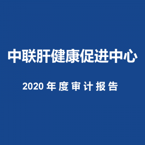 2020年度审计报告
