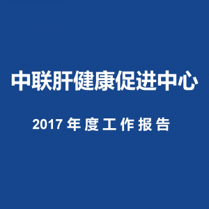 2017年度工作报告