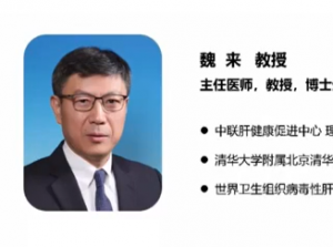 【视频】魏来教授：中国丙型肝炎防治现状和疾病负担