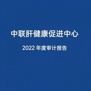 2022年度审计报告